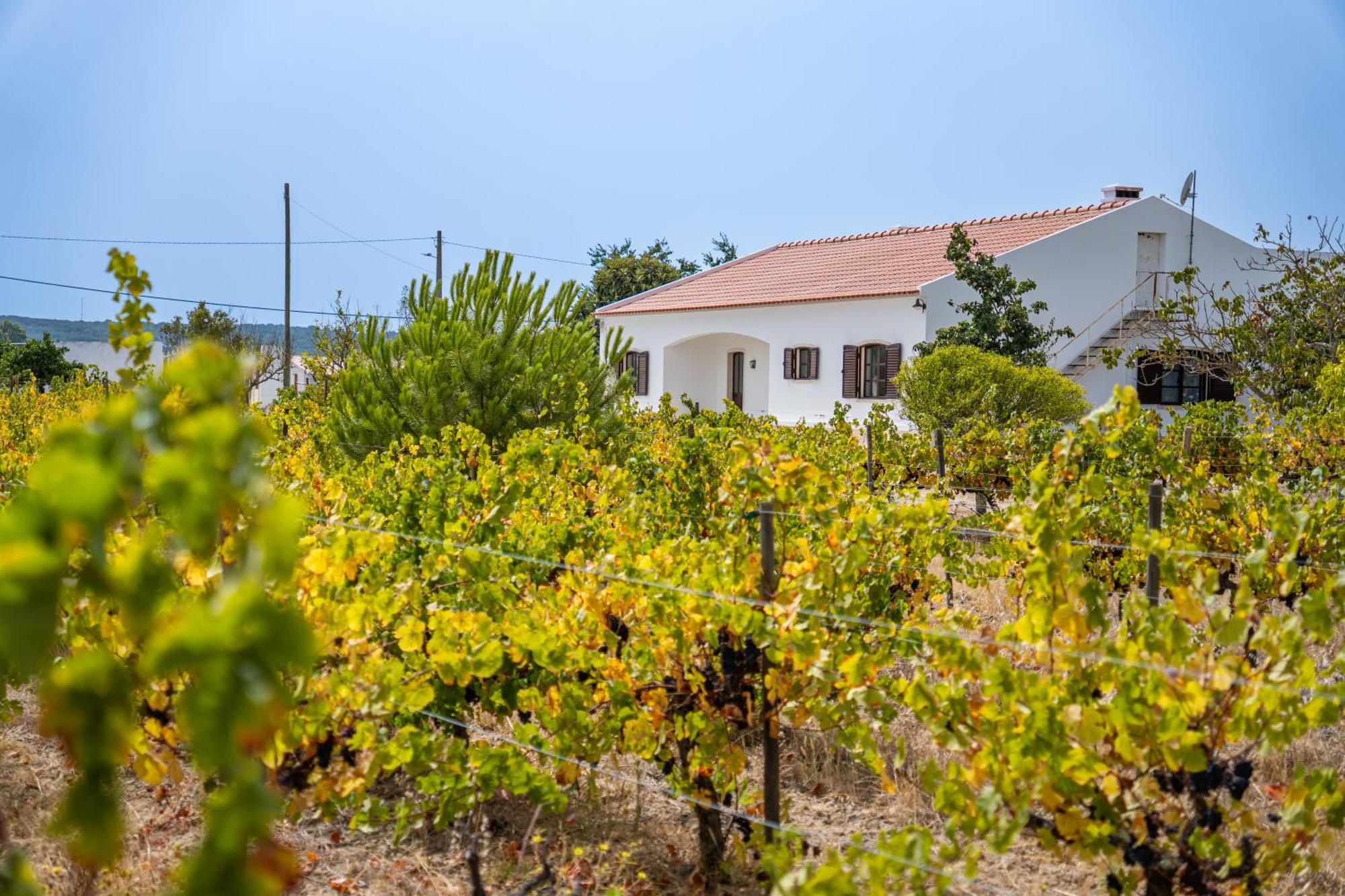 فيلا ايفورافي Quinta Do Quartel المظهر الخارجي الصورة